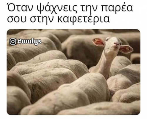 Που ειστε ρε;