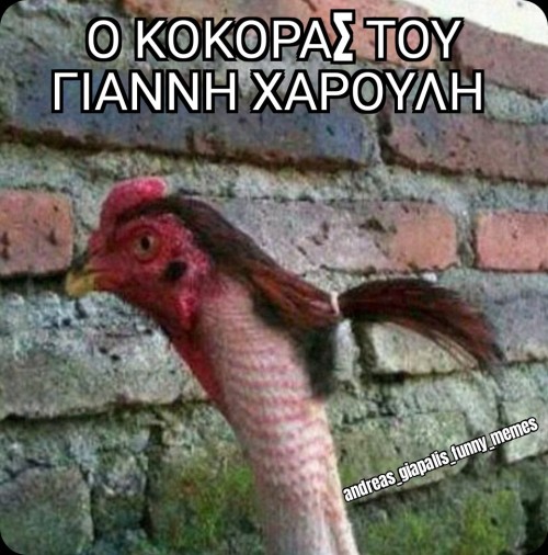 Γιάννης Χαρούλης