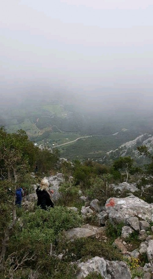 αγαπη μου ειμαι εγκυος