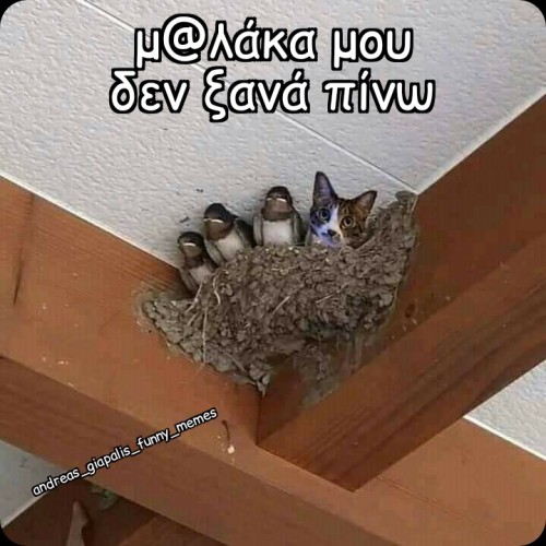 δεν ξανά πίνω..