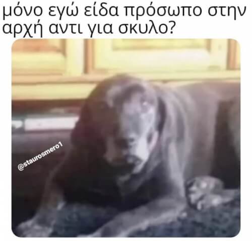 Όλοι