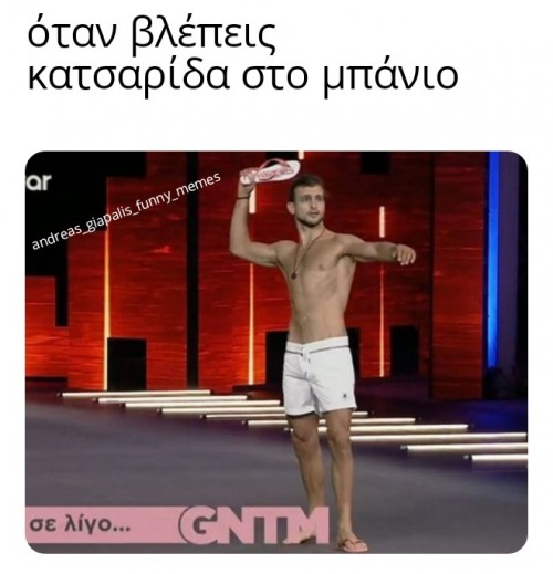 κατσαρίδα....