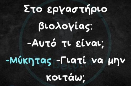 Ξανθιά