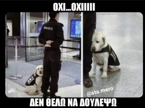 Ταγκ τον κολλητο!