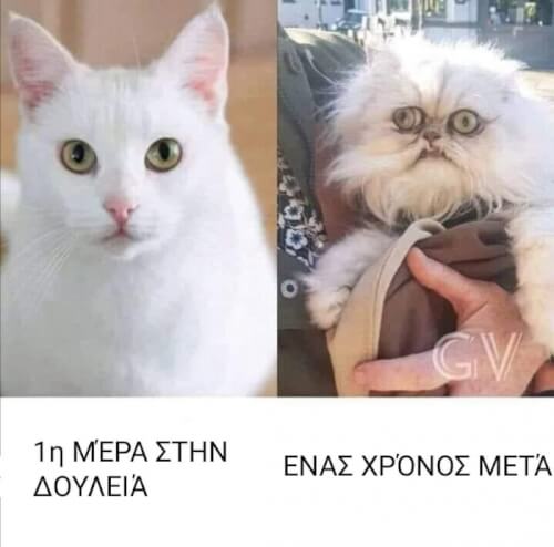 Χαχαχ γμστ