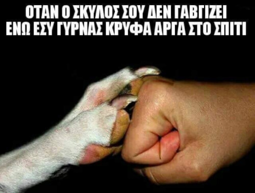 Ε ναι!