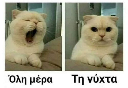 Εγώ: 