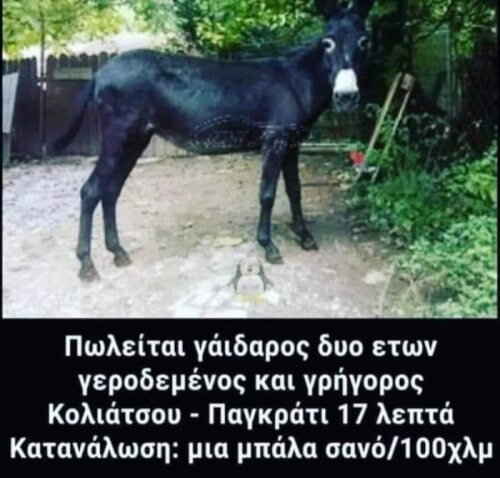 Ότι καλύτερο είδα σήμερα