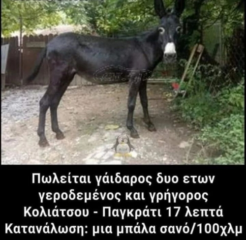 Ευκαιρία 