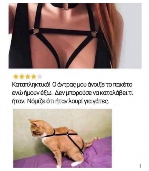 Καλά πήγε αυτό 