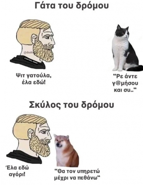 🐕 vs 🐱