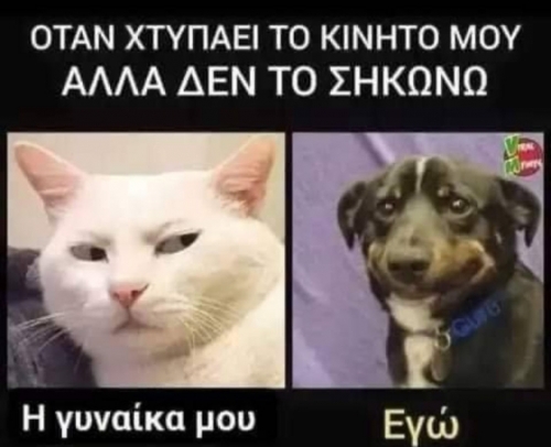 Αυτό !