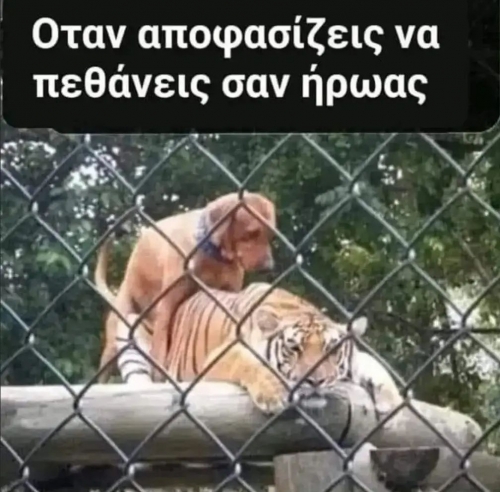 Ηρωικό τέλος 