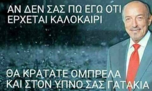 Γατάκια!