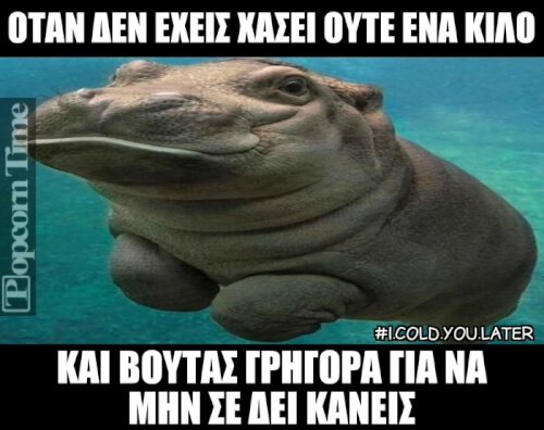 Ταύτιση