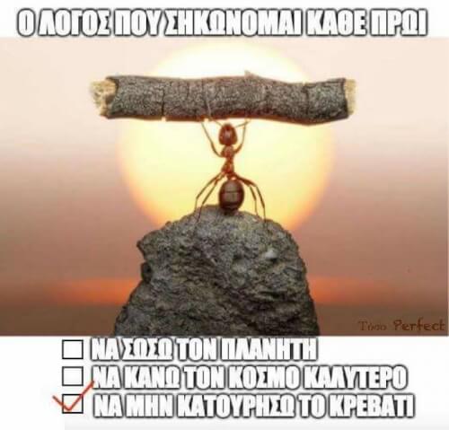 Ο μόνος!