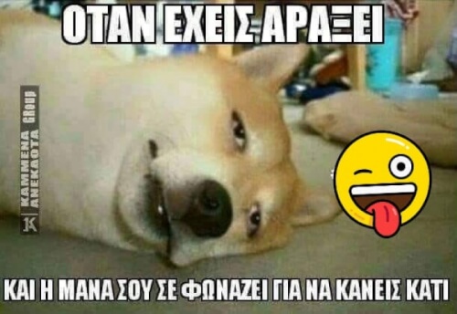 Ταύτιση.