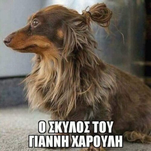 Κάψιμο