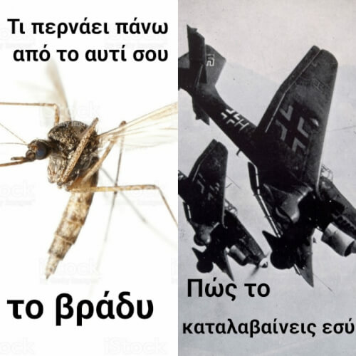 Έτσι ακριβώς!