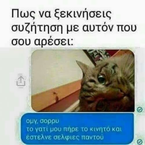 Κόλπο μαθητευόμενου γυπαετού