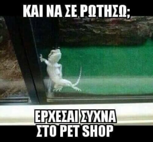 Ιάσο κόκλα..