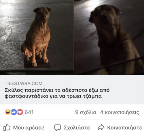 Πόσο σκύλος μου!