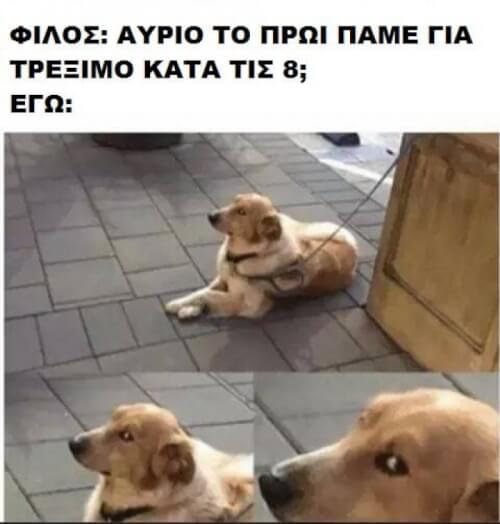 Αυτός ο φίλος!