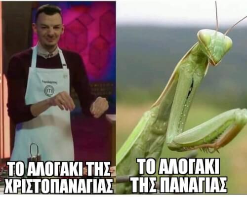 ΕΝΚΟΥΛΙ ΤΕΛΙΚΑ; 