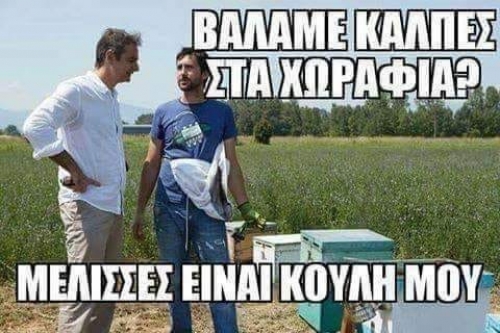 Μέλισσες είναι κούλη μου, μέλισσες!