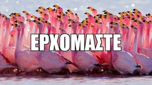 Πάλι εσείς!