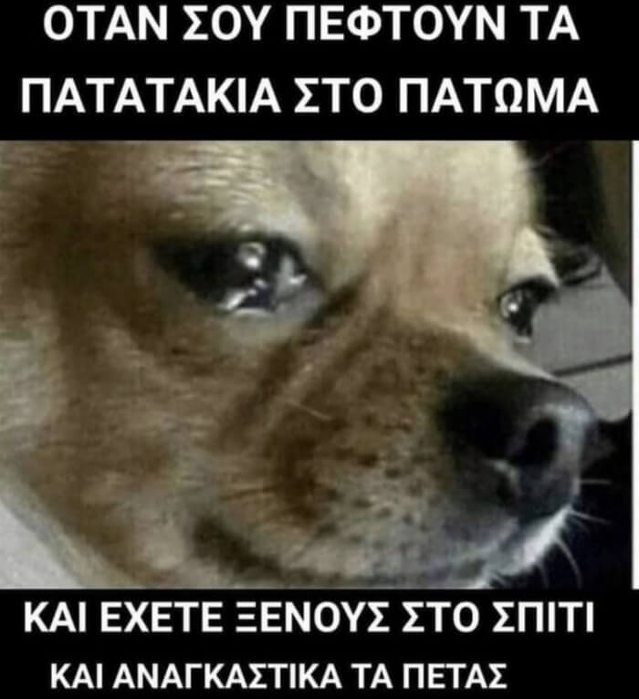 Χοντρό…