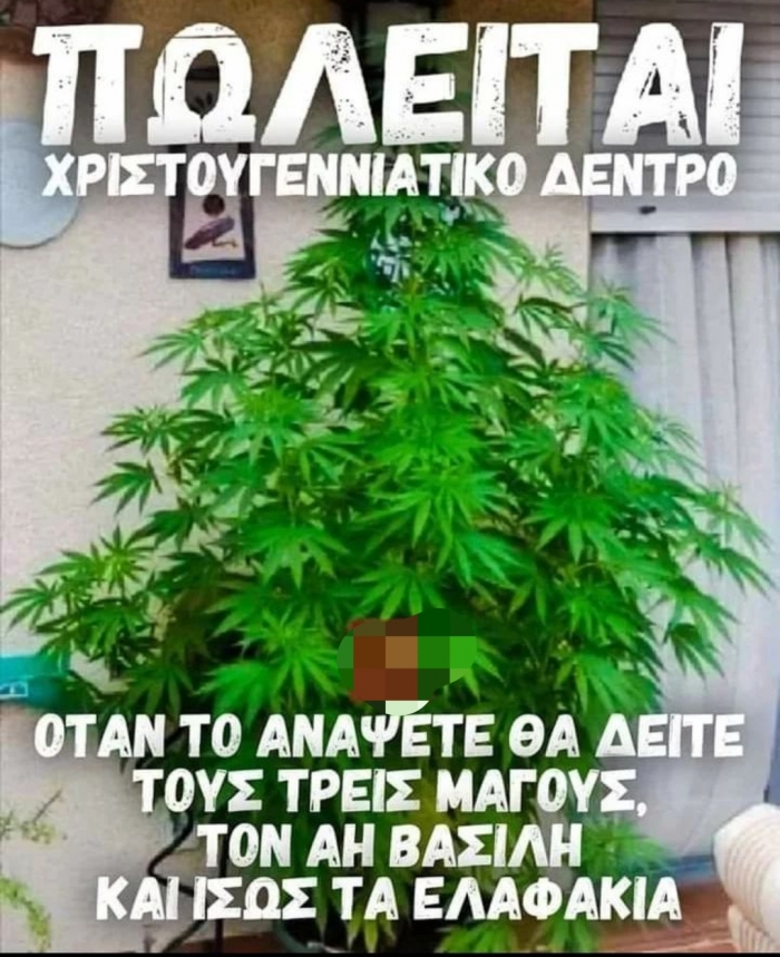 Καλά πήγε αυτό 