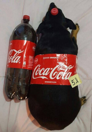 Η νέα coca cola!