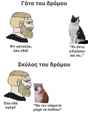 🐕 vs 🐱