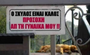 Τον αγάπησα!