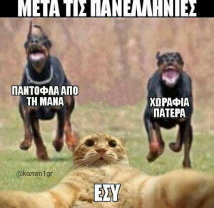 Ταύτιση!