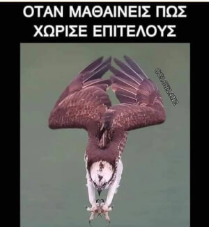 Γυπινγκ!