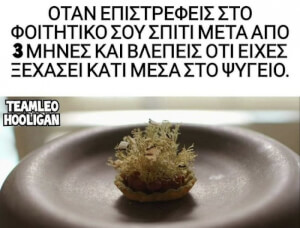 Αυτά καλό είναι να μη γίνονται